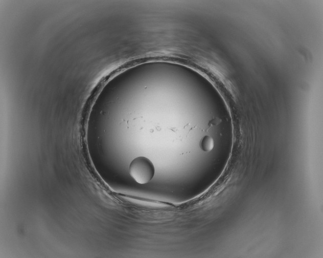 X0000110951308200906261313