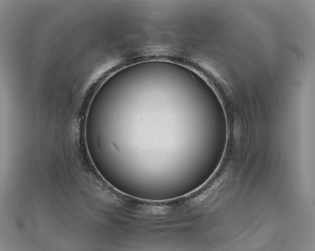 X0000110951309200906261313
