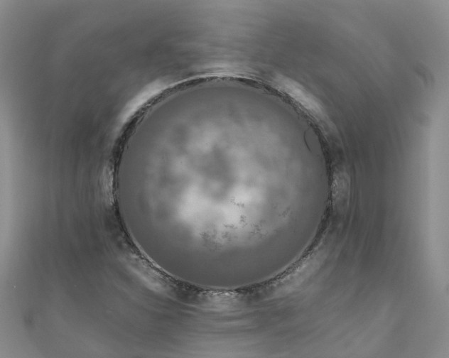 X0000110951310200906261313