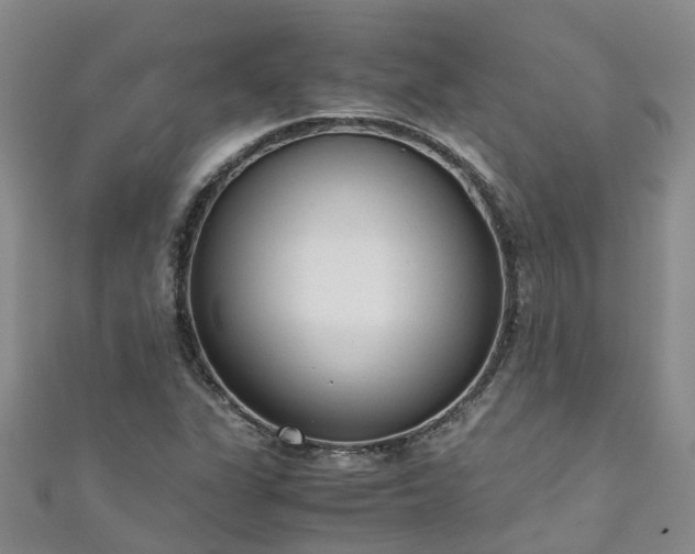 X0000110951311200906261313