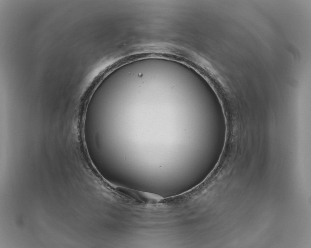 X0000110951312200906261313
