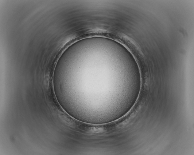 X0000110951313200906261313