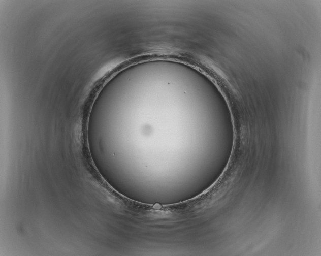 X0000110951315200906261313