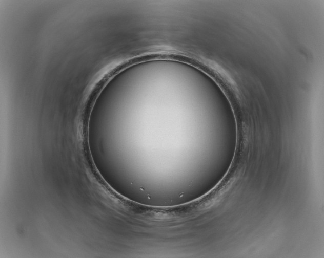X0000110951318200906261313