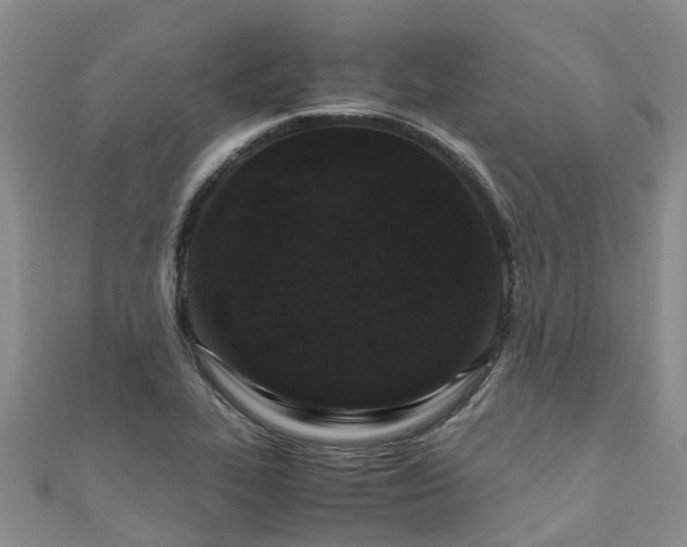X0000110951319200906261313