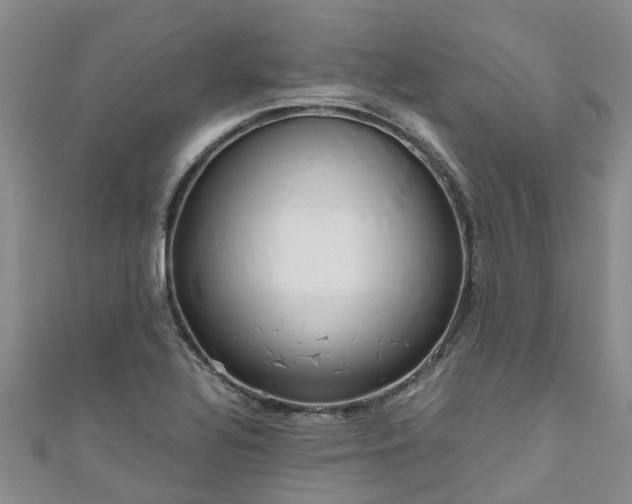 X0000110951320200906261313