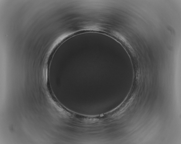 X0000110951323200906261313