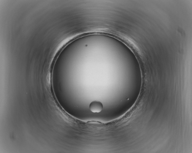 X0000110951324200906261313