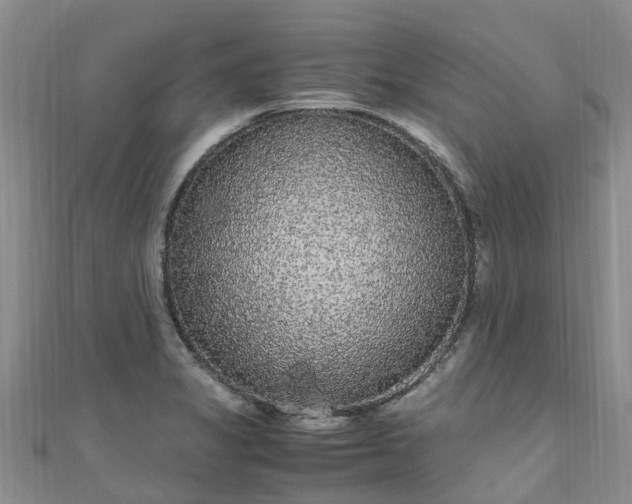 X0000110951325200906261313