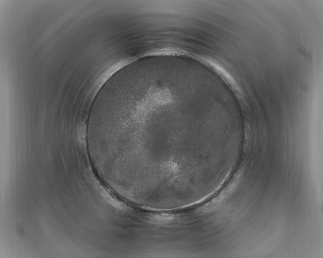 X0000110951329200906261313