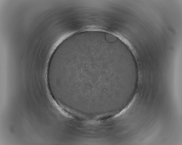 X0000110951333200906261313