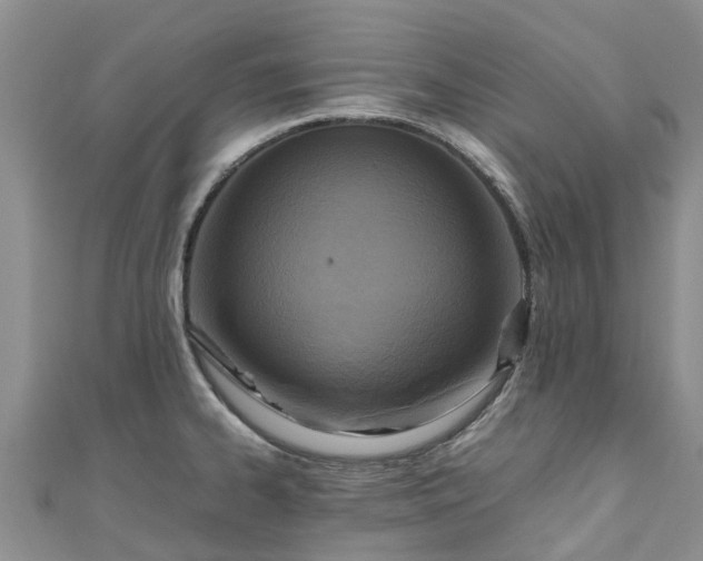 X0000110951334200906261313