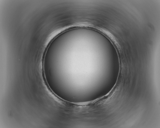 X0000110951335200906261313