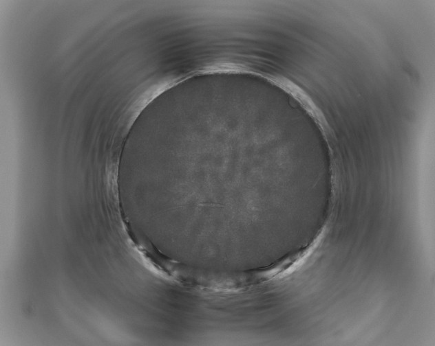 X0000110951337200906261313