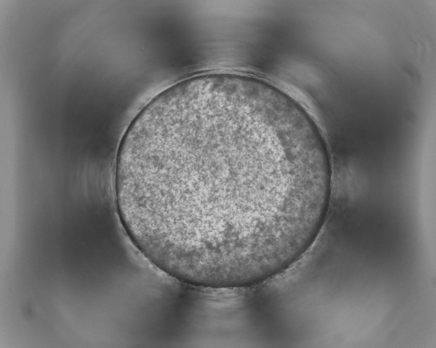 X0000110951338200906261313