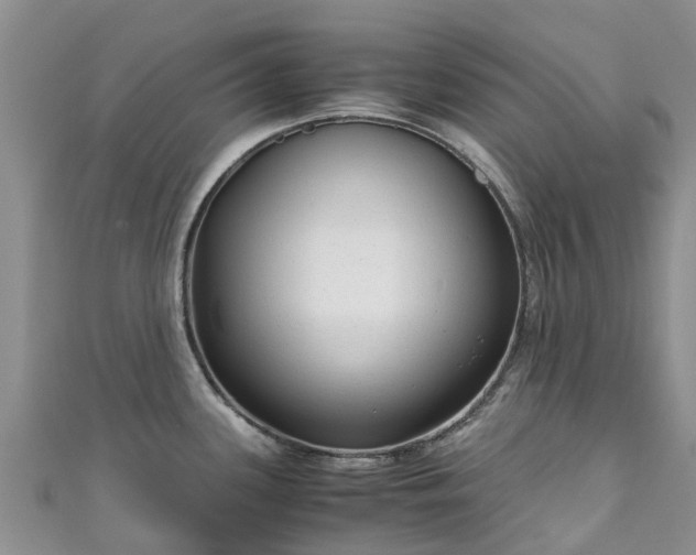 X0000110951339200906261313
