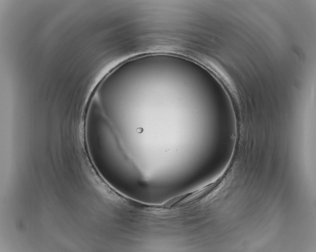 X0000110951340200906261313