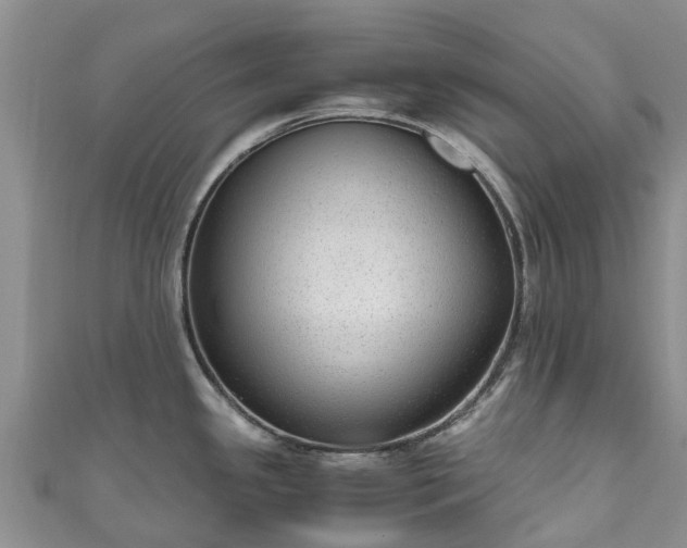 X0000110951341200906261313