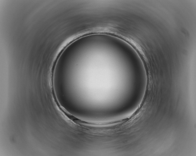X0000110951342200906261313