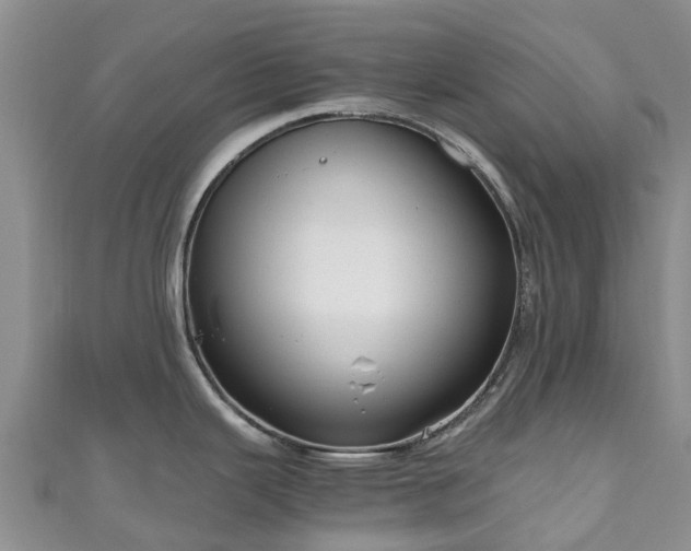 X0000110951343200906261313