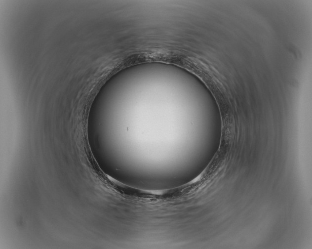 X0000110951345200906261312