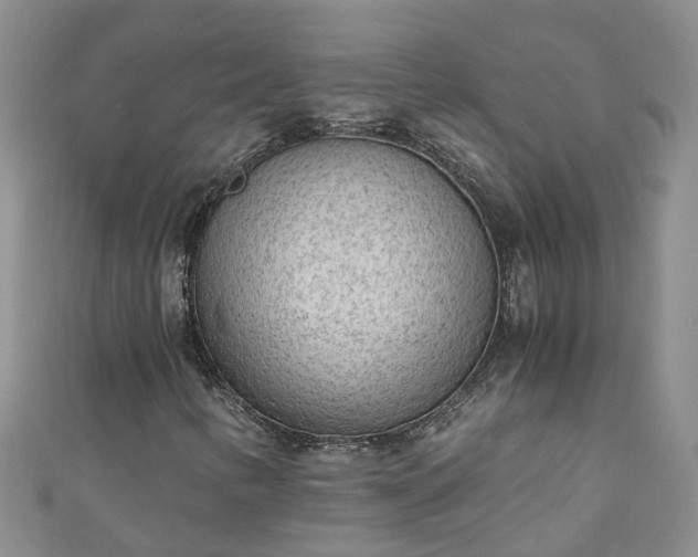 X0000110951346200906261312