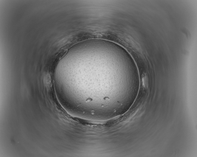 X0000110951347200906261312