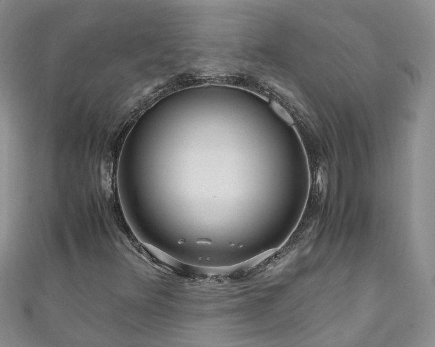 X0000110951348200906261312