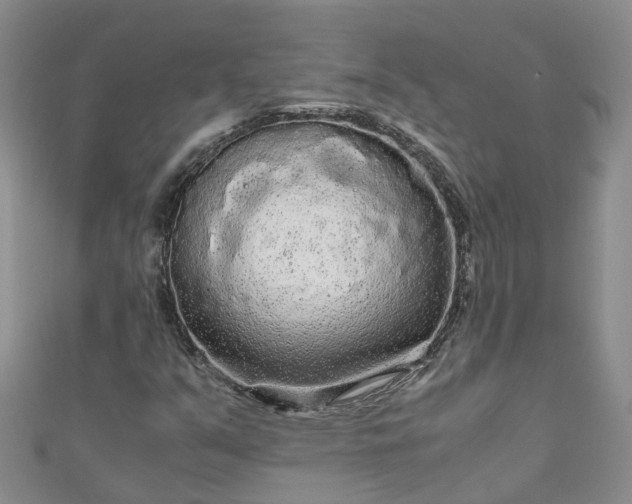 X0000110951351200906261312