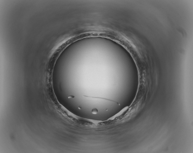 X0000110951352200906261312