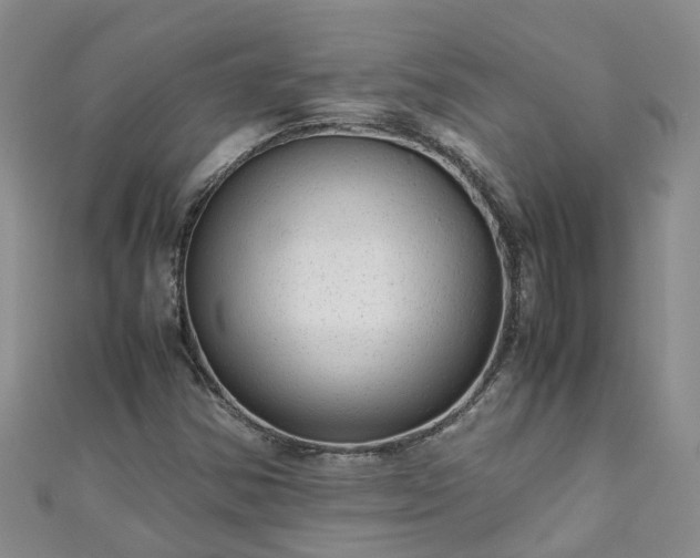 X0000110951354200906261312