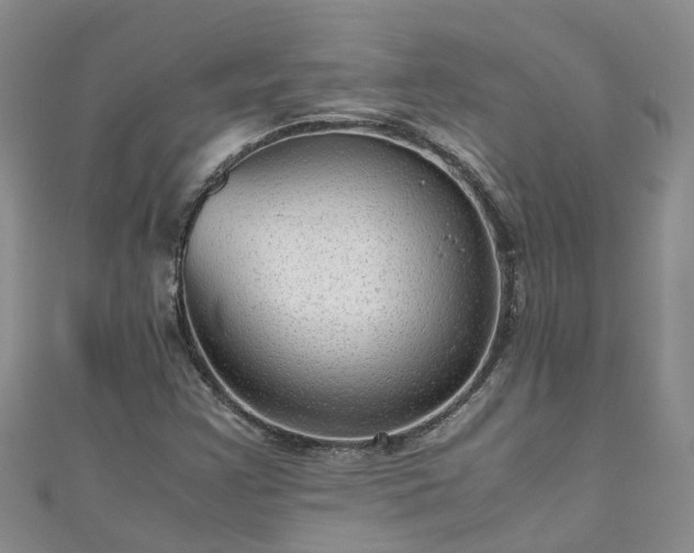 X0000110951355200906261312