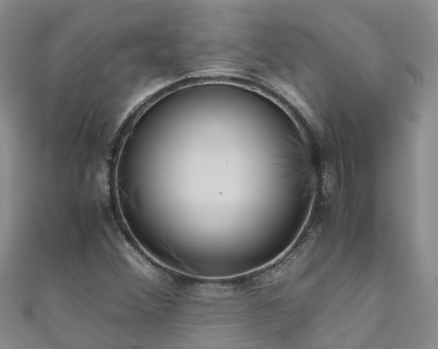 X0000110951356200906261312