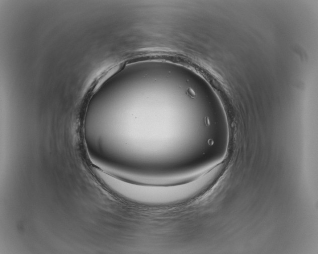 X0000110951357200906261312