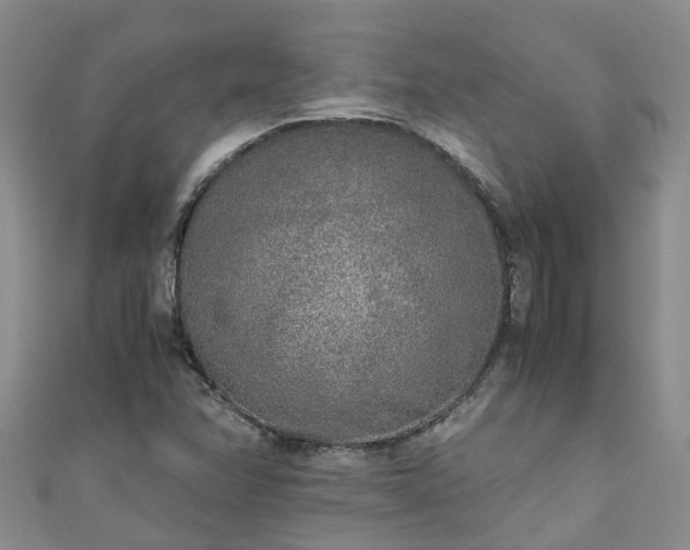 X0000110951358200906261312