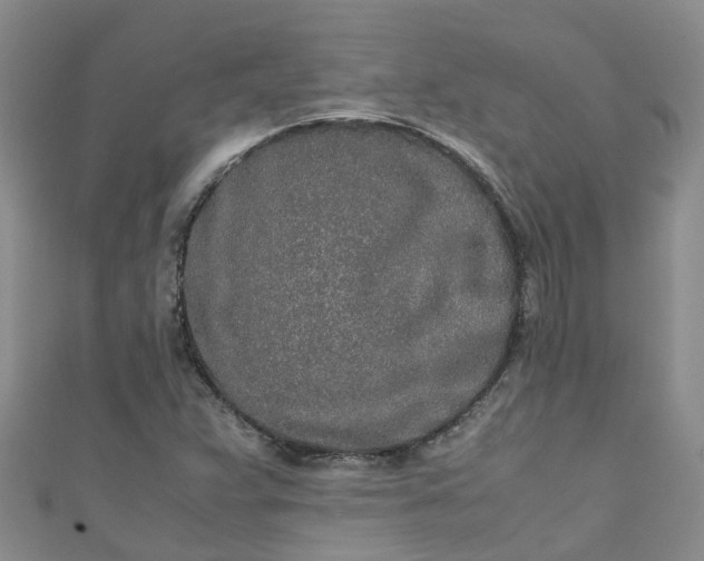 X0000110951359200906261312