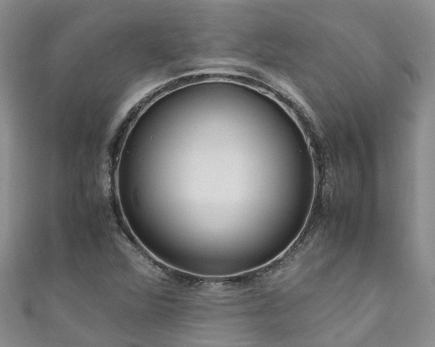 X0000110951360200906261312