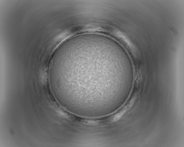 X0000110951361200906261312