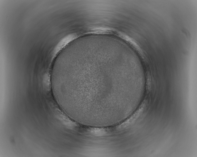 X0000110951362200906261312