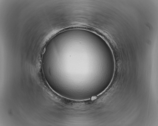 X0000110951363200906261312