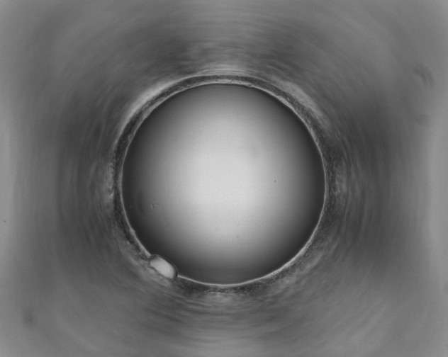 X0000110951364200906261312