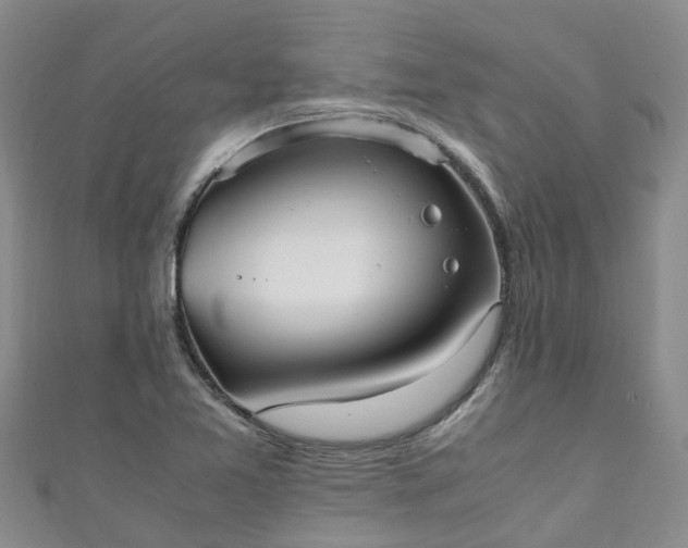 X0000110951365200906261312