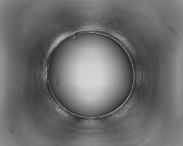 X0000110951366200906261312
