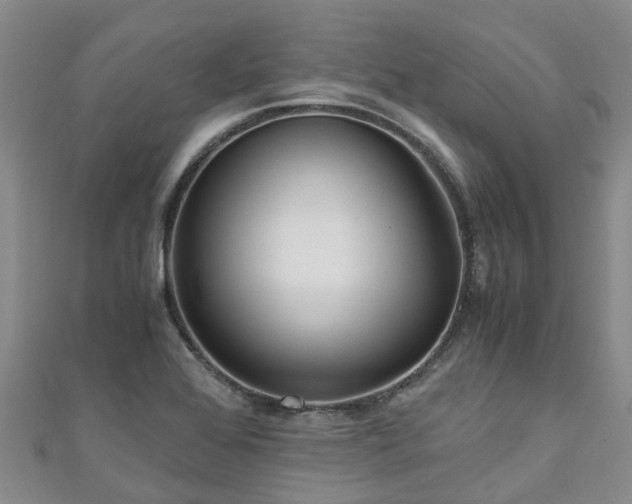 X0000110951368200906261312