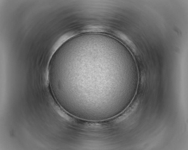 X0000110951370200906261312