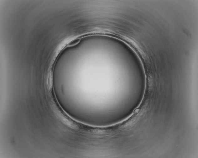 X0000110951371200906261312