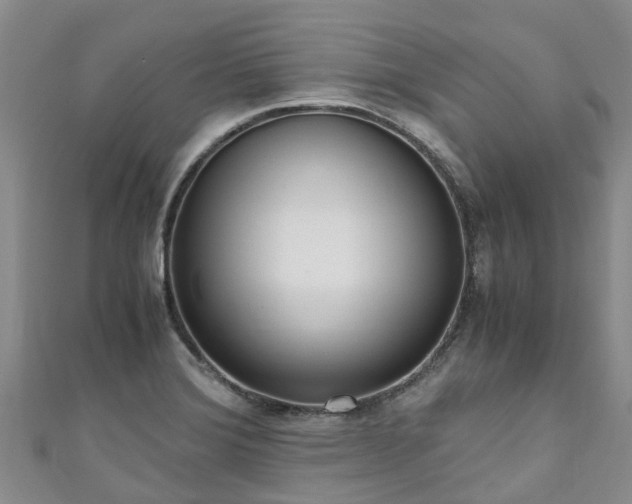 X0000110951372200906261312