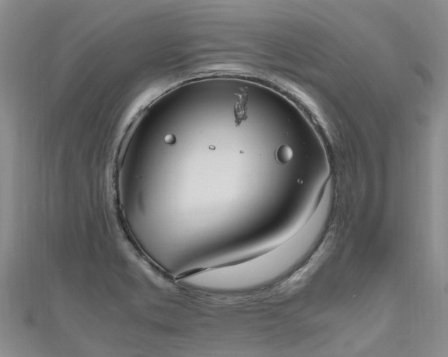 X0000110951373200906261312