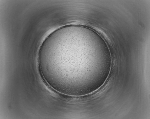 X0000110951375200906261312