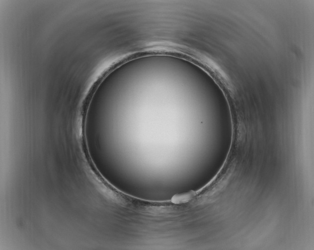 X0000110951376200906261312
